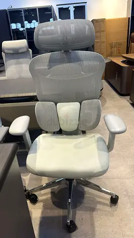 Ergonomic Office Chair with Headrest and Lumbar Support - Light Grey