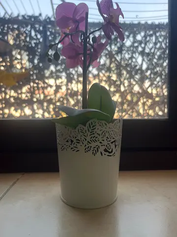 White decorative metal plant pot with laser-cut floral design