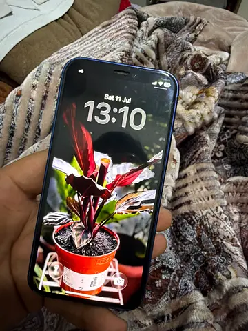 I am sell my i phone 12 mini