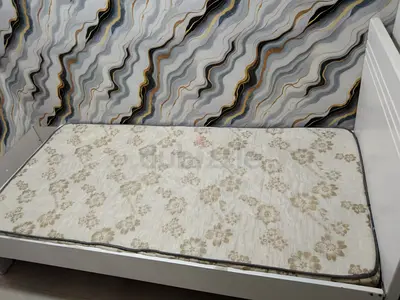 Partition Room for South Indian Lady Executive