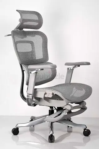 Ergonomic Mesh Office Chair with Headrest - Grey