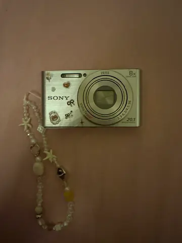 Sony Cyber-shot DSC W80 with case (silver)