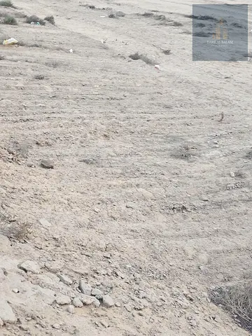 للبيع ارض زراعيه في منطقة الحيل / امارة راس الخيمه