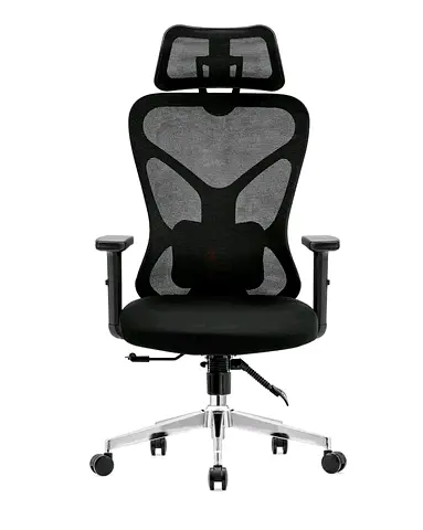 Ergonomic High-Back Mesh Office Chair with Headrest - Black