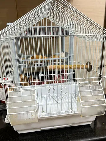 White Bird Cage with Feeders and Perch