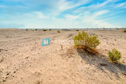 Single Row | Next to Corner | Rare Yas Lea Plot
