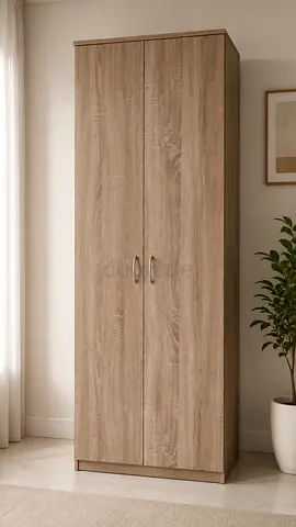 Modern Two Door Wood Finish Wardrobe