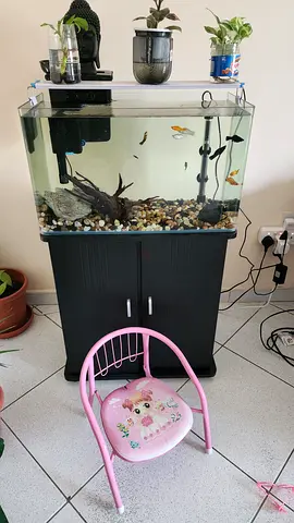 Complete Glass Aquarium Tank 60cm with Cabinet, Filter,