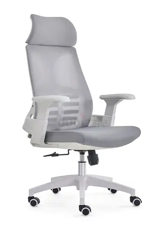 Lumber Support Mesh Office Chair 💺