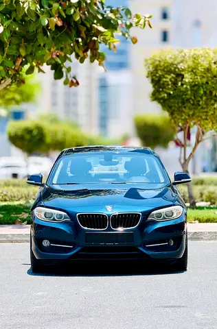 2014 BMW 2-SERIES 照片 2