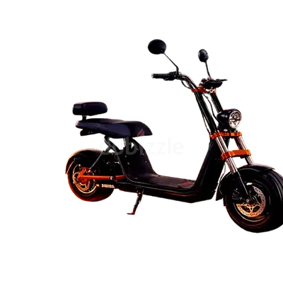 Kugoo City Electric Scooter