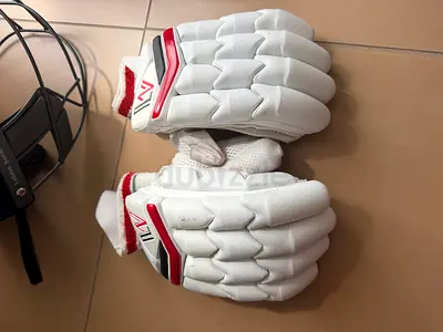Professional Cricket Batting Gloves and Helmet Shell