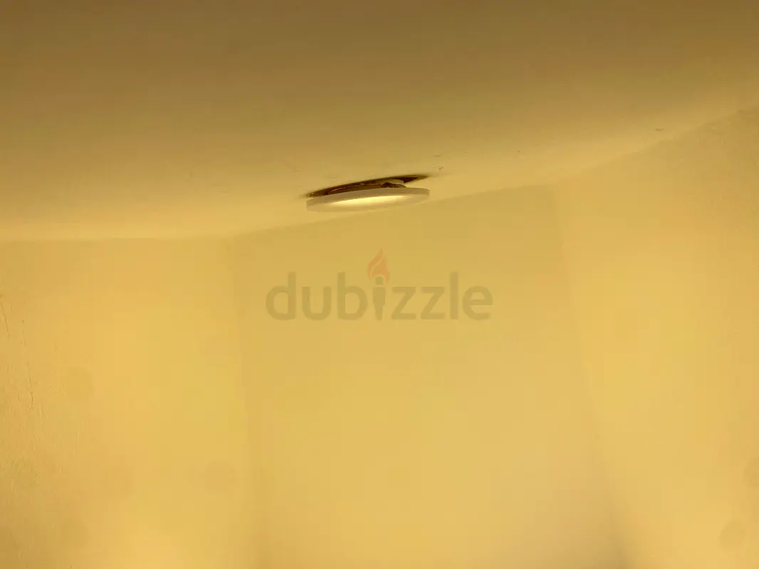 DPV_View_Image_0