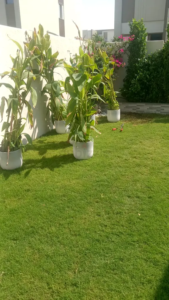 DPV_View_Image_6
