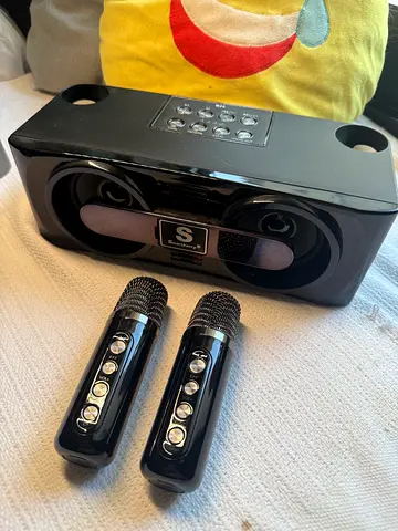 Portable Bluetooth Karaoke Speaker with 2 Wireless Mics