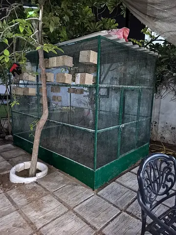 Large outdoor bird aviary/cage with nesting boxes - ready to use