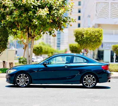 2014 BMW 2-SERIES 照片 8
