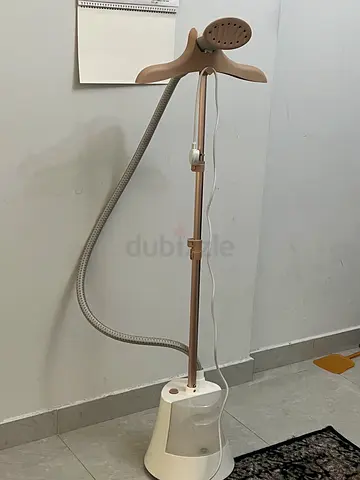 Steam iron