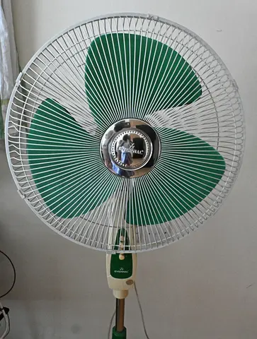 Standing Pedestal Fan - Green, Working Condition