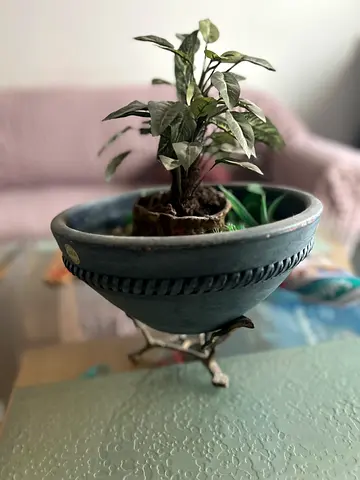 Decorative blue ceramic planter bowl with metal stand and small plant