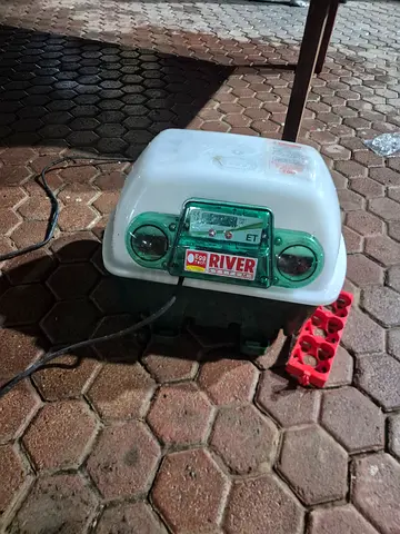 Electric egg hatcher