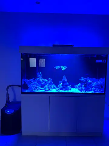 Marine aquarium