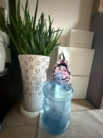 Plants