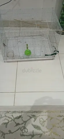 Bird cage aed 20