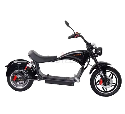 Kugoo M1 Electric Scooter