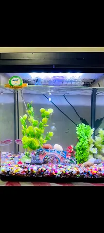 Aquarium