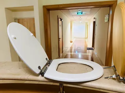 White Toilet Seat Replacement with Hinges — Good Condition