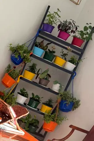 Plant Metal Ladder with Ceramic glazed Pots + Free Balcony railers and more than 30 Pots