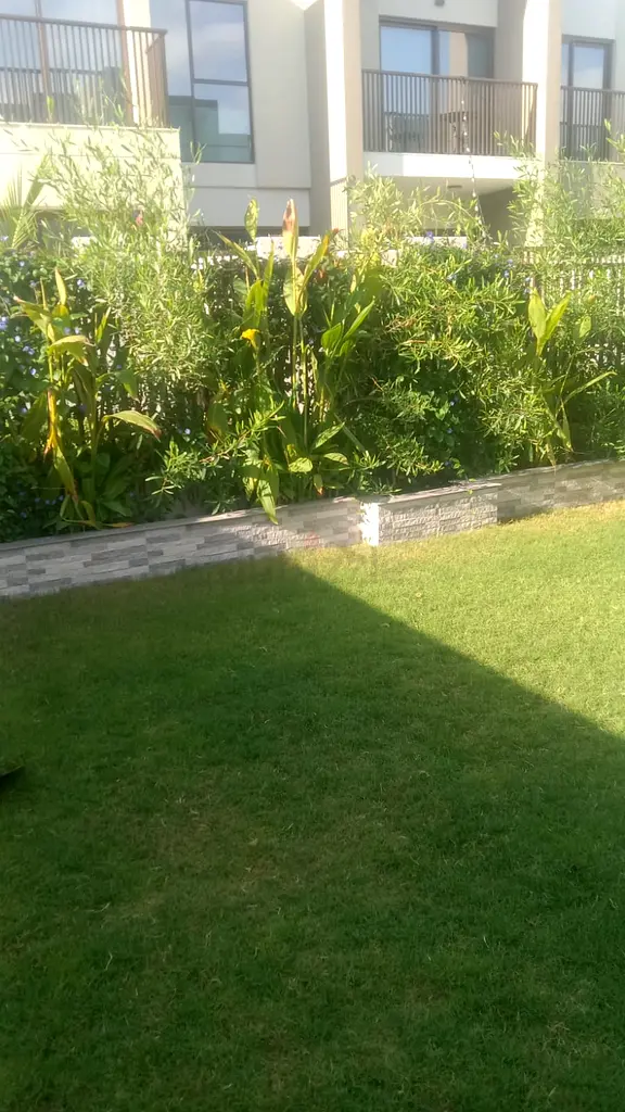 DPV_View_Image_3