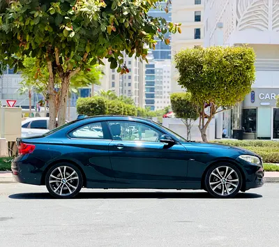 2014 BMW 2-SERIES 照片 7