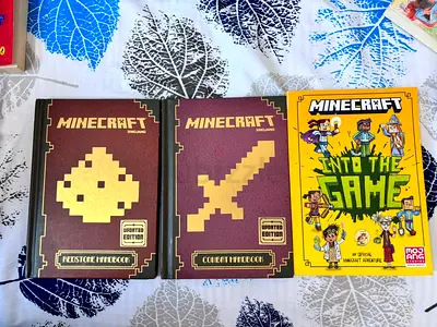 Set of 3 Minecraft Books — Redstone Combat Handbooks + Into the Game