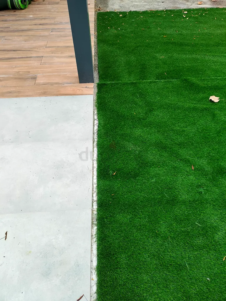 DPV_View_Image_5