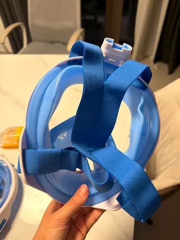 Snorkel Mask