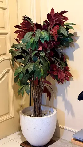 Artificial Potted Tree (Green Burgundy Leaves) in White Planter