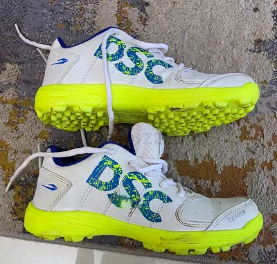 DSC Cricket shoes