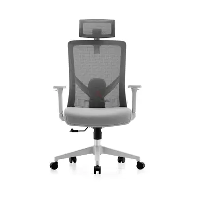 Imported Ergonomic Boss Mesh Chair
