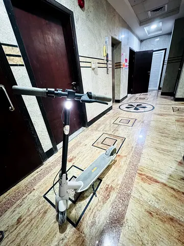 Ninebot Electric Scooter - Good Working Condition, Display Shown