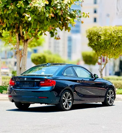 2014 BMW 2-SERIES 照片 4