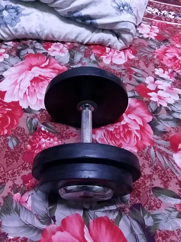 13 kg Dumbbell with Rubber Plates - Single Pair (Used)