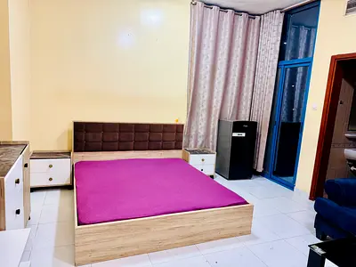 Furnished Master Bedroom with attached bathroom and Balcony Ajman falcon towers
