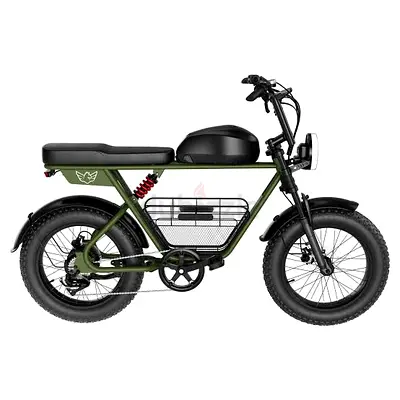 Wind Horse Electric Scooter 1000W 50KM Range 110KM Speed, D5