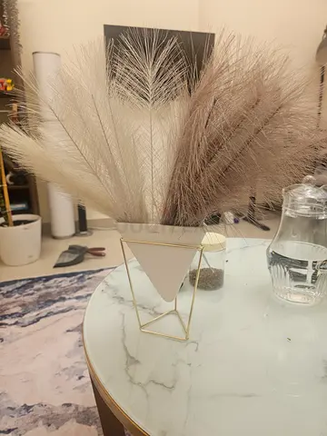 White triangle vase with 30 pc pampass grass
