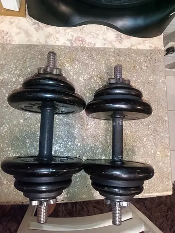 20 kg Pair of adjustable cast iron dumbbells with spin-lock collars