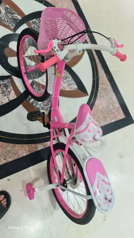 Kids Pink Girls Bicycle with Training Wheels and Front Basket - Good Condition