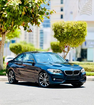 2014 BMW 2-SERIES 照片 3