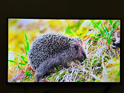 TCL 4K HDR10 55 inch TV